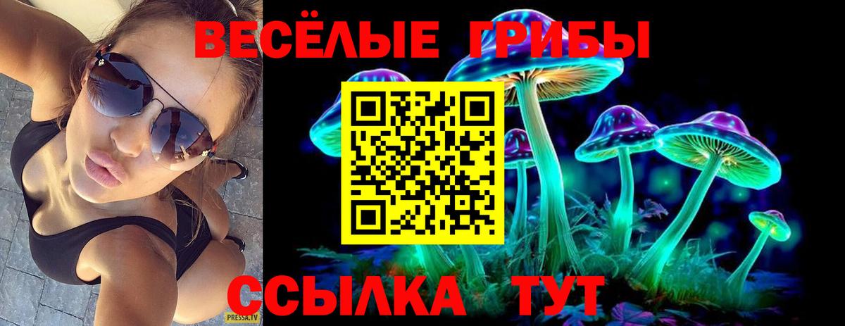 Калач-на-Дону  Псилоцибиновые грибы Psilocybine cubensis  Вход с VPN  Галлюциногенные грибы Psilocybe 